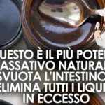 Elisir Naturale di Frutta e Fibre