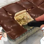 Dessert Freddo Biscotti e Crema al Latte